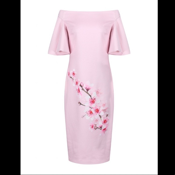 ted baker calinda dress